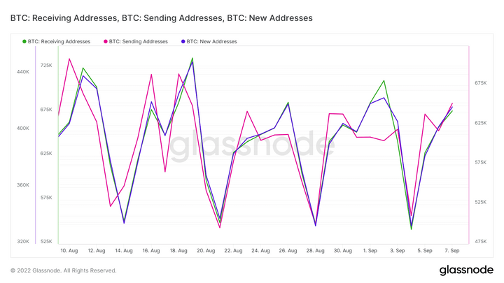 BTC price 5