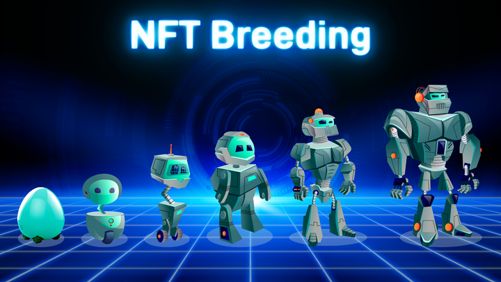 NFT Business 9