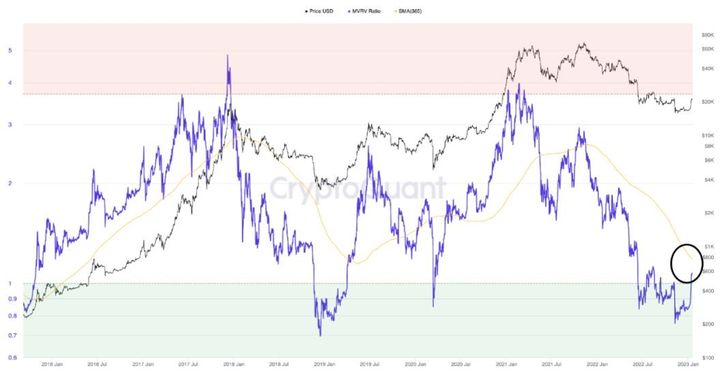 Bitcoin’s Bull Run
