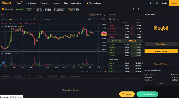 bybit future