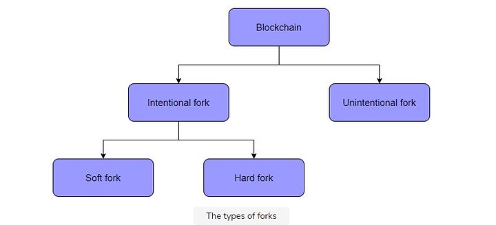 forks types