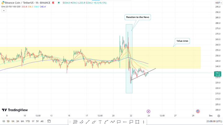 Future of BNB Coin